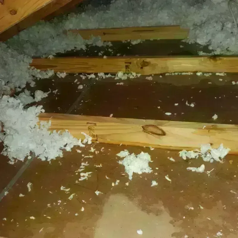 Attic Water Damage in Newton County, MO