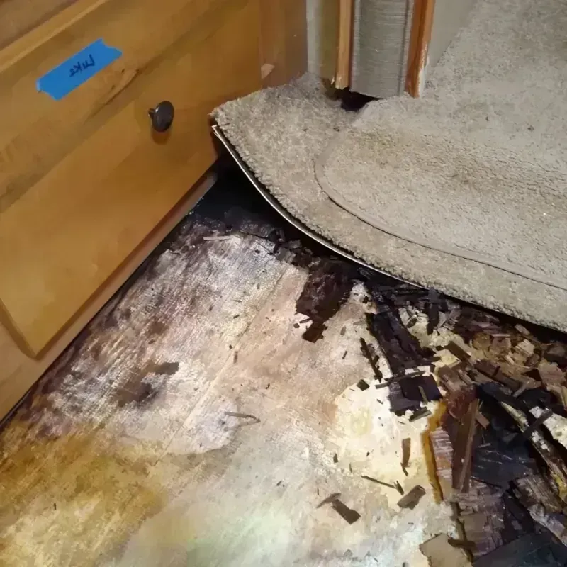 Wood Floor Water Damage in Newton County, MO